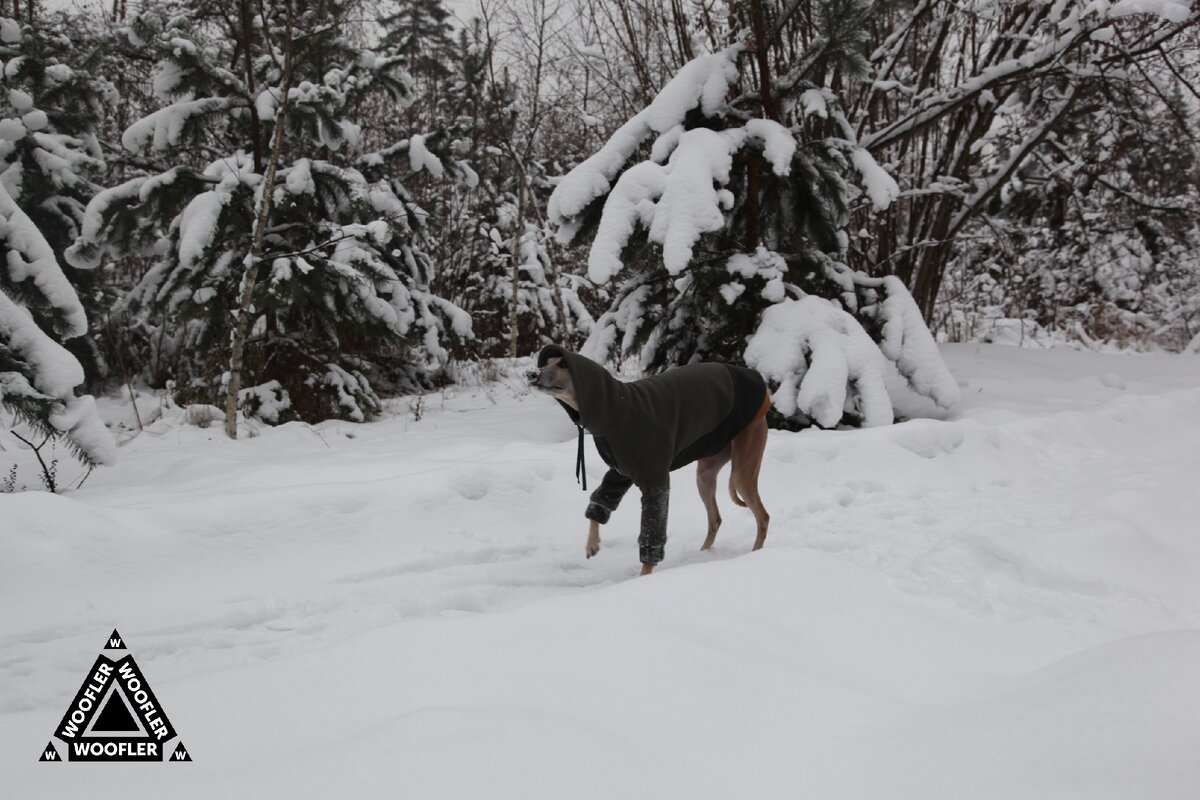 Собака в толстовке Woofler Tanker Base