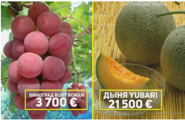 ♣ТОП-10 самых дорогих фруктов на Земле!♣