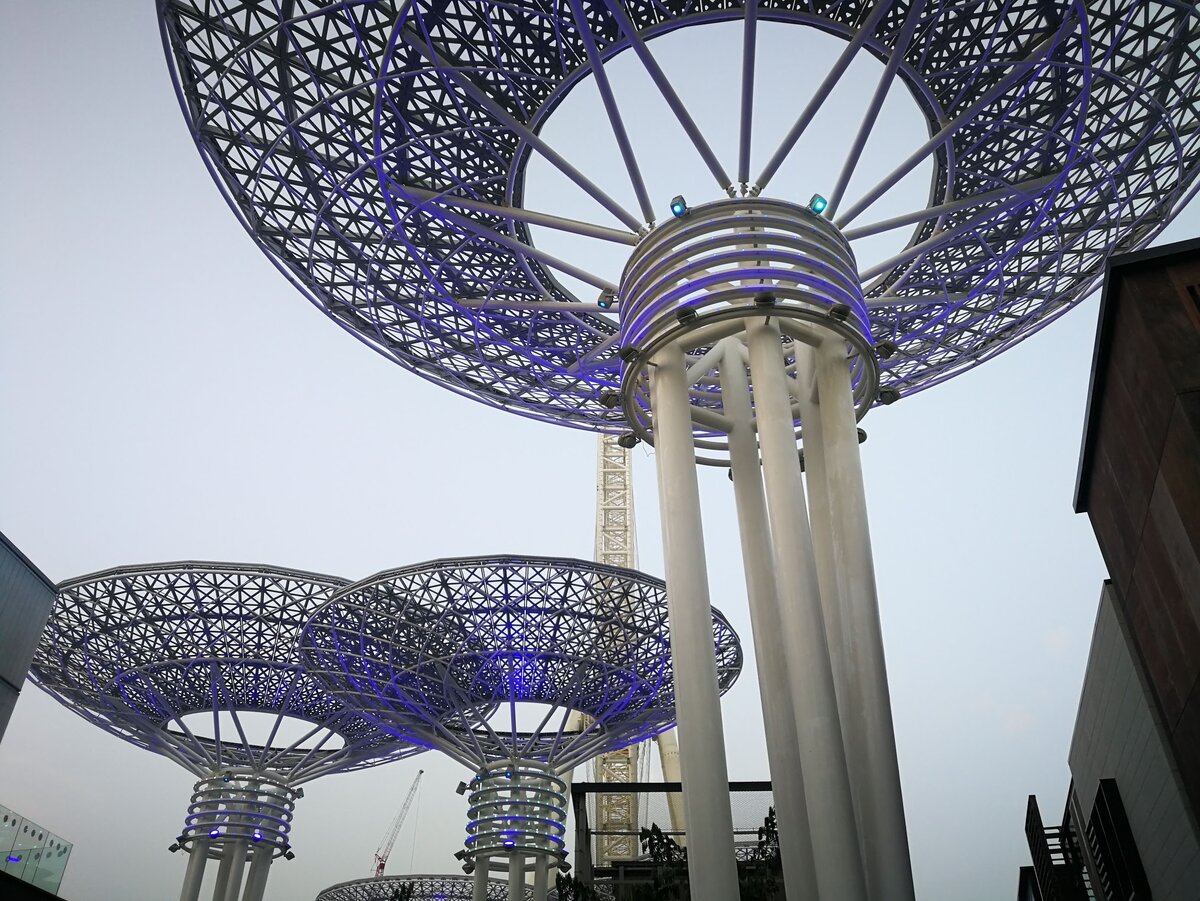 Стальные цветы Дубая 