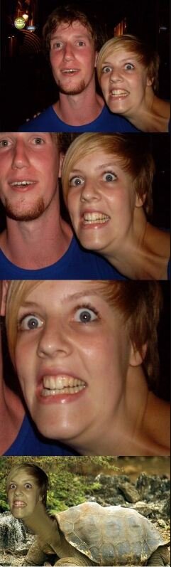 Я бы не хотел увидеть такую черепаху.