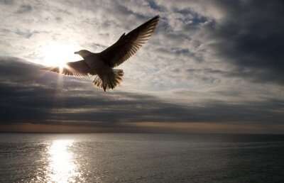 Тамара Коханская