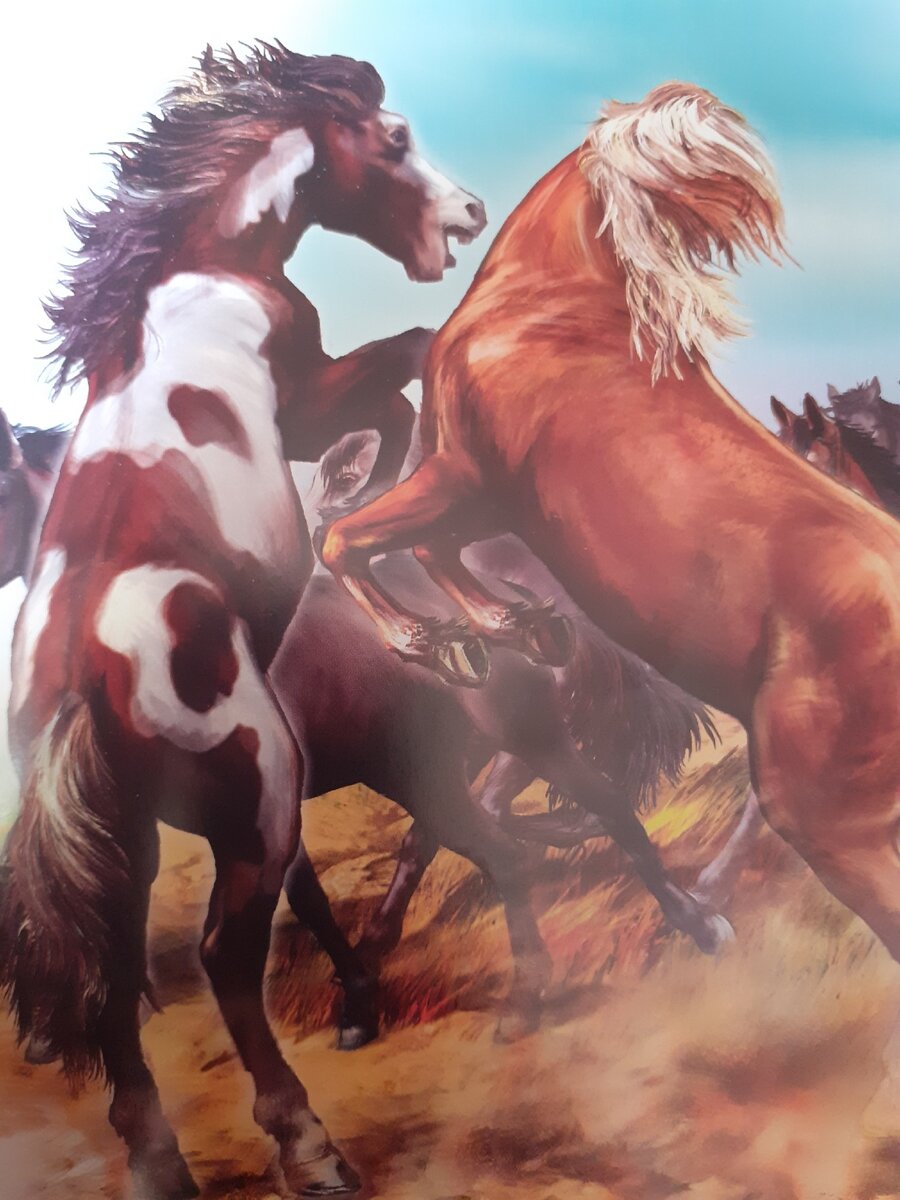 Мустанги - одичавшие лошади