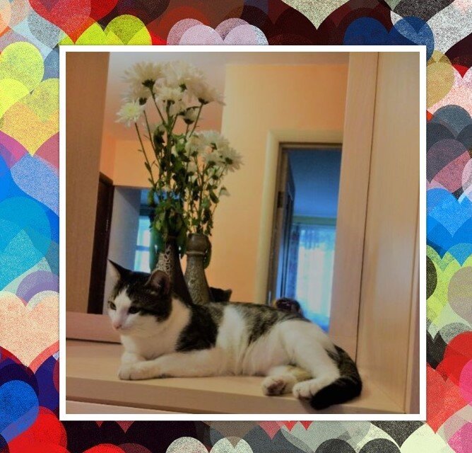 Стэн Фото и коллаж личные