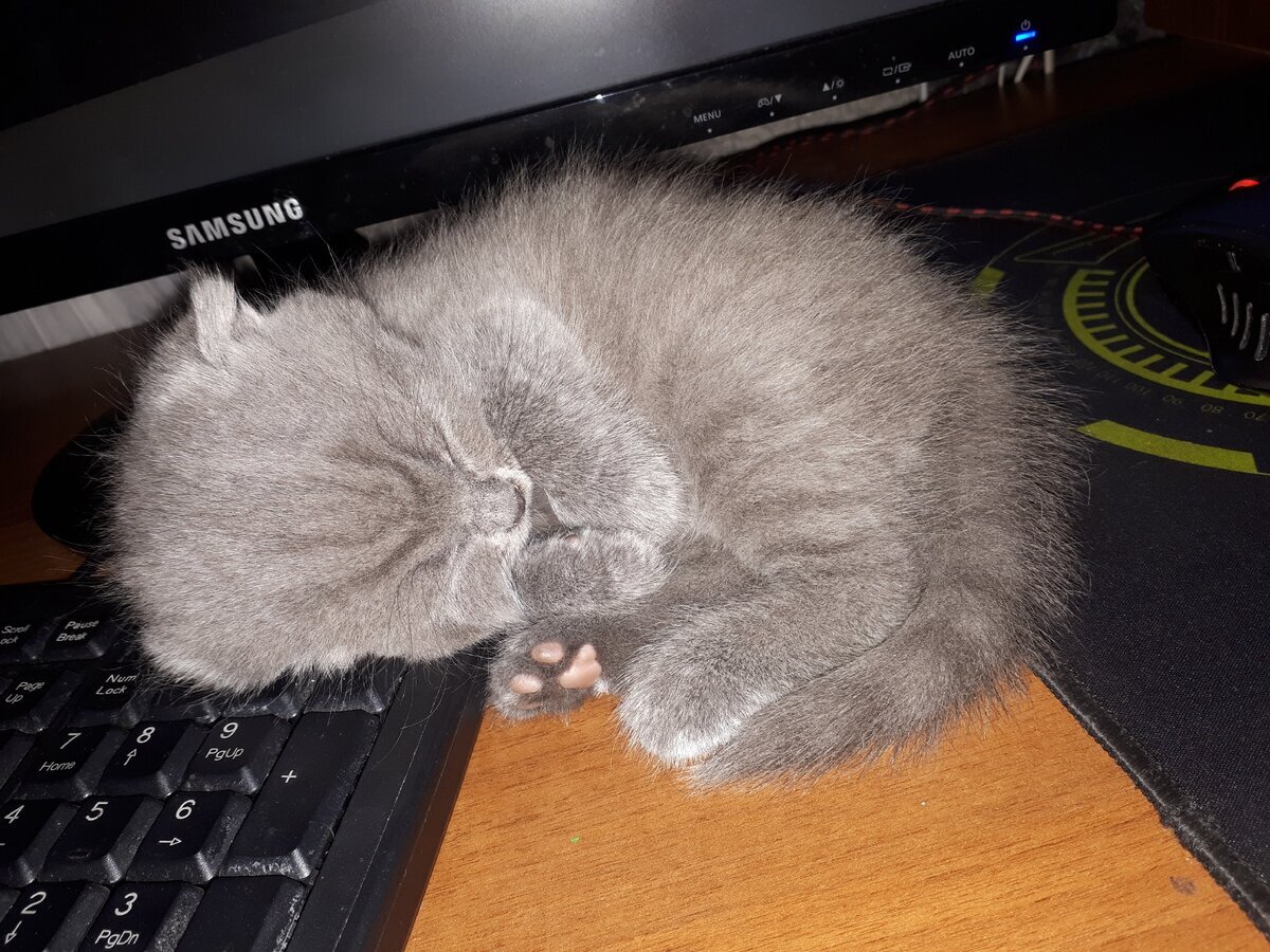 на фото ему около месяца