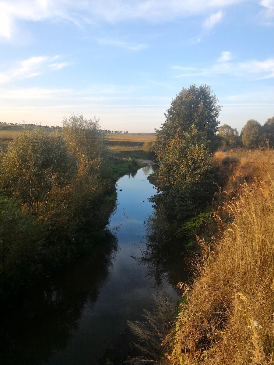 Как только реку перестали прудить она сильно заросла и заглубилась.