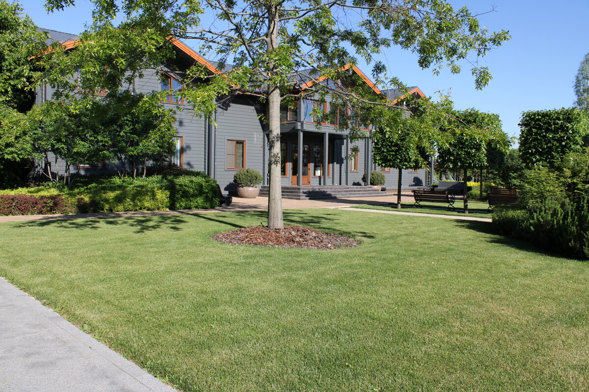 ландшафтный дизайн участка