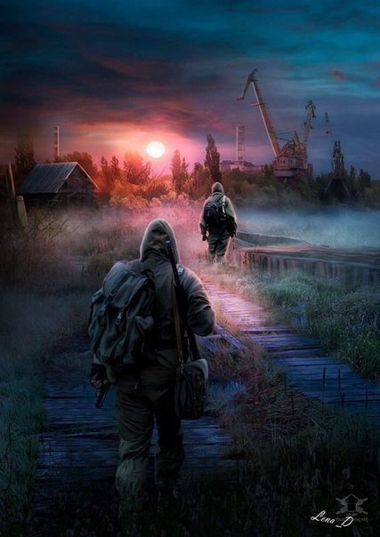 Яндекс картинки