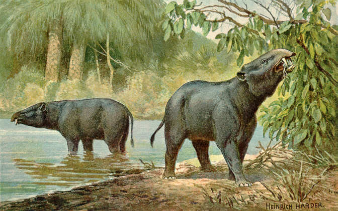 Морритерии по жизни были ближе к бегемотам чем к слонам. Но являлись предками последних. (художник Генрих Хардер)