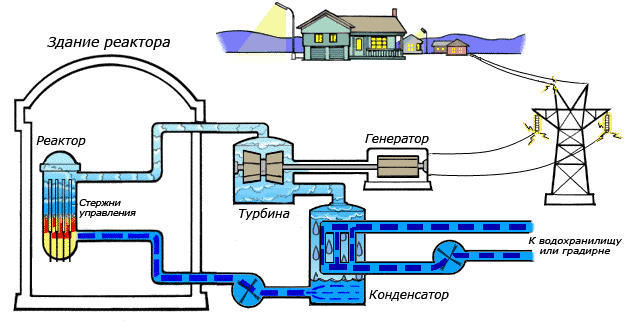 Фото взято с сайта https://www.google.com/