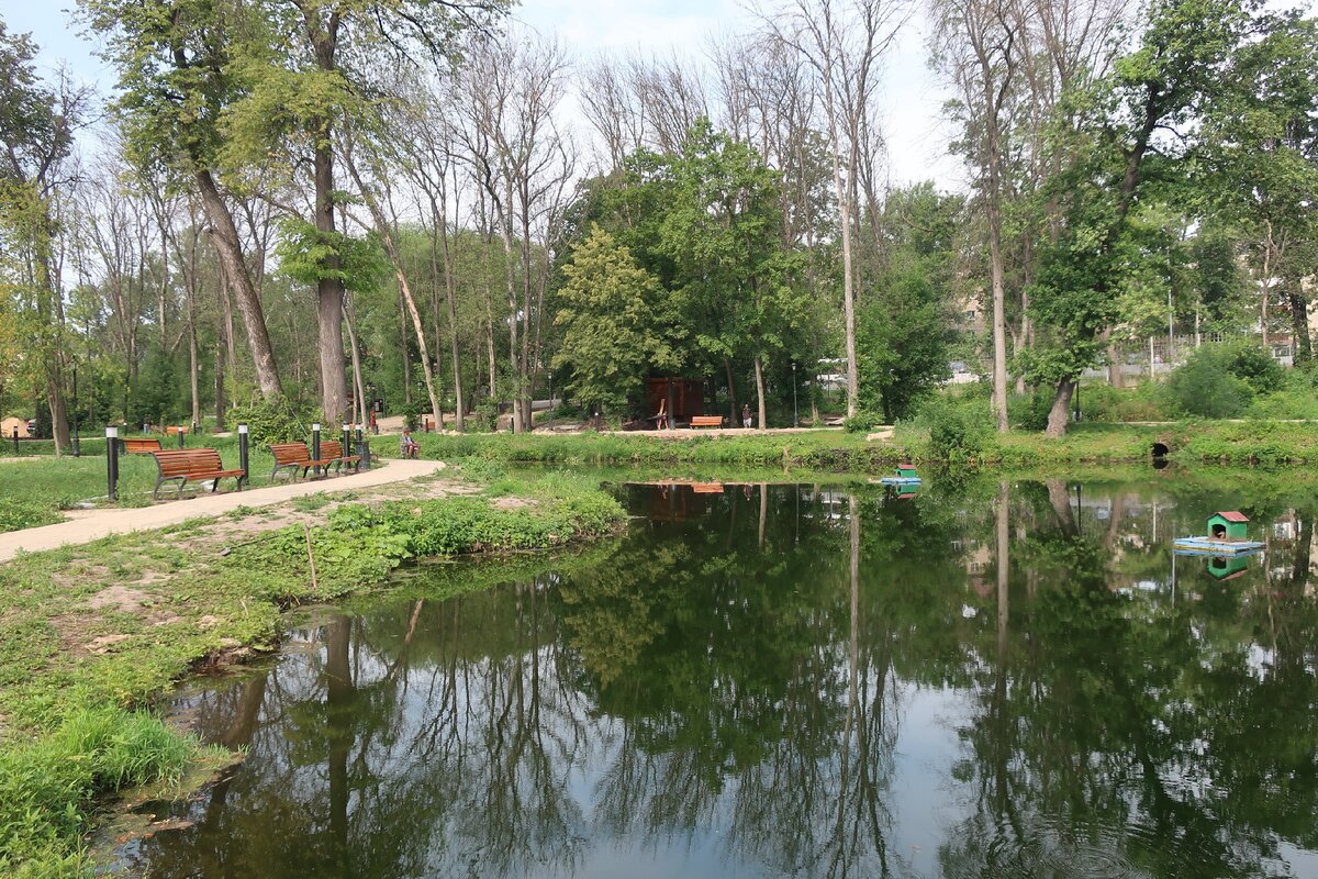 Парк в ельце