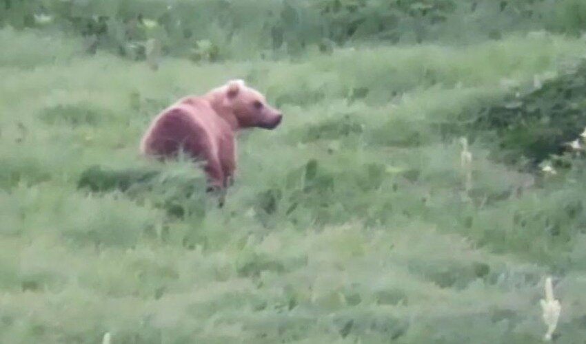 Кадры из видео: Виталий Кузьменко