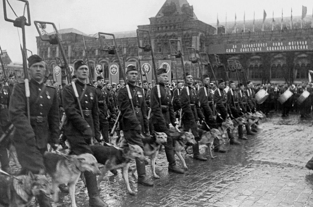 фото из открытых источников