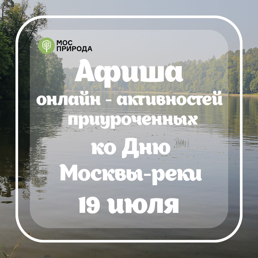 День Москвы-реки: Мосприрода подготовила серию онлайн-мероприятий | Природа  Москвы | Дзен