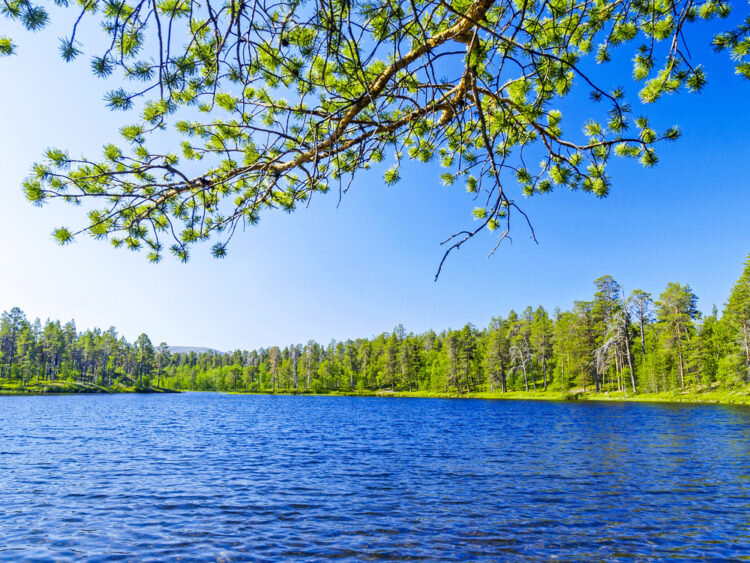 Подлинный образец финской природы в парке Лемменйоки