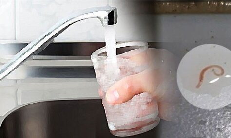 Черви от 1см выходят из водопроводных кранов корейцев.