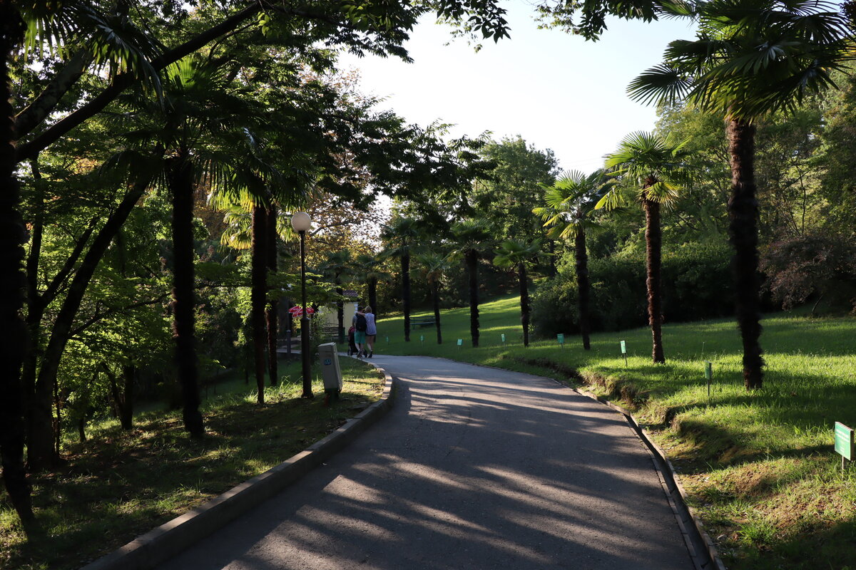 Карта дендропарка сочи. Дендрарий сочи схема парка путеводитель. Как доехать до дендрария. Сочинский дендрологический парк. От жд вокзала сочи до дендрария.