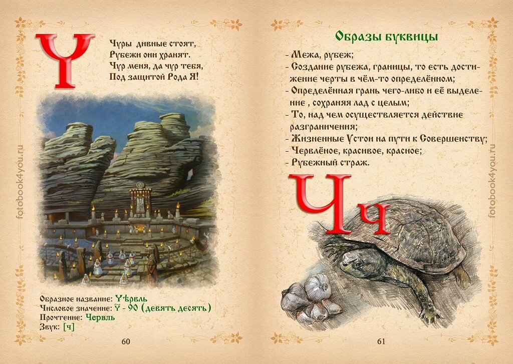 Фото из Яндекс.картинки