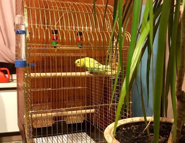 Первые дни Тэри сидел в таком положении