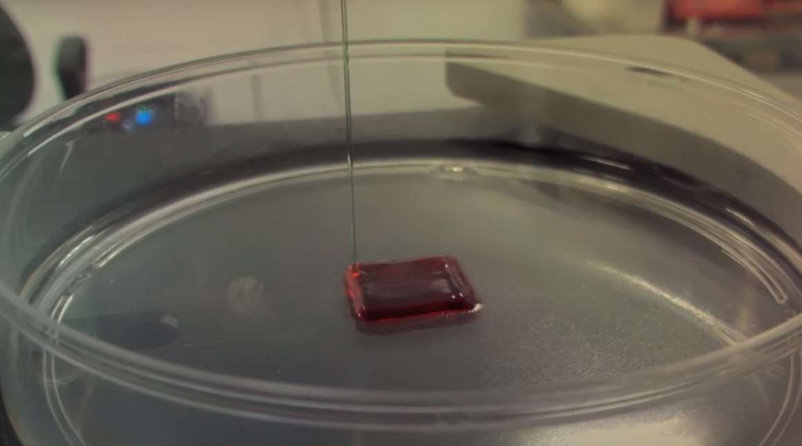 Источник: Яндекс.Картинки