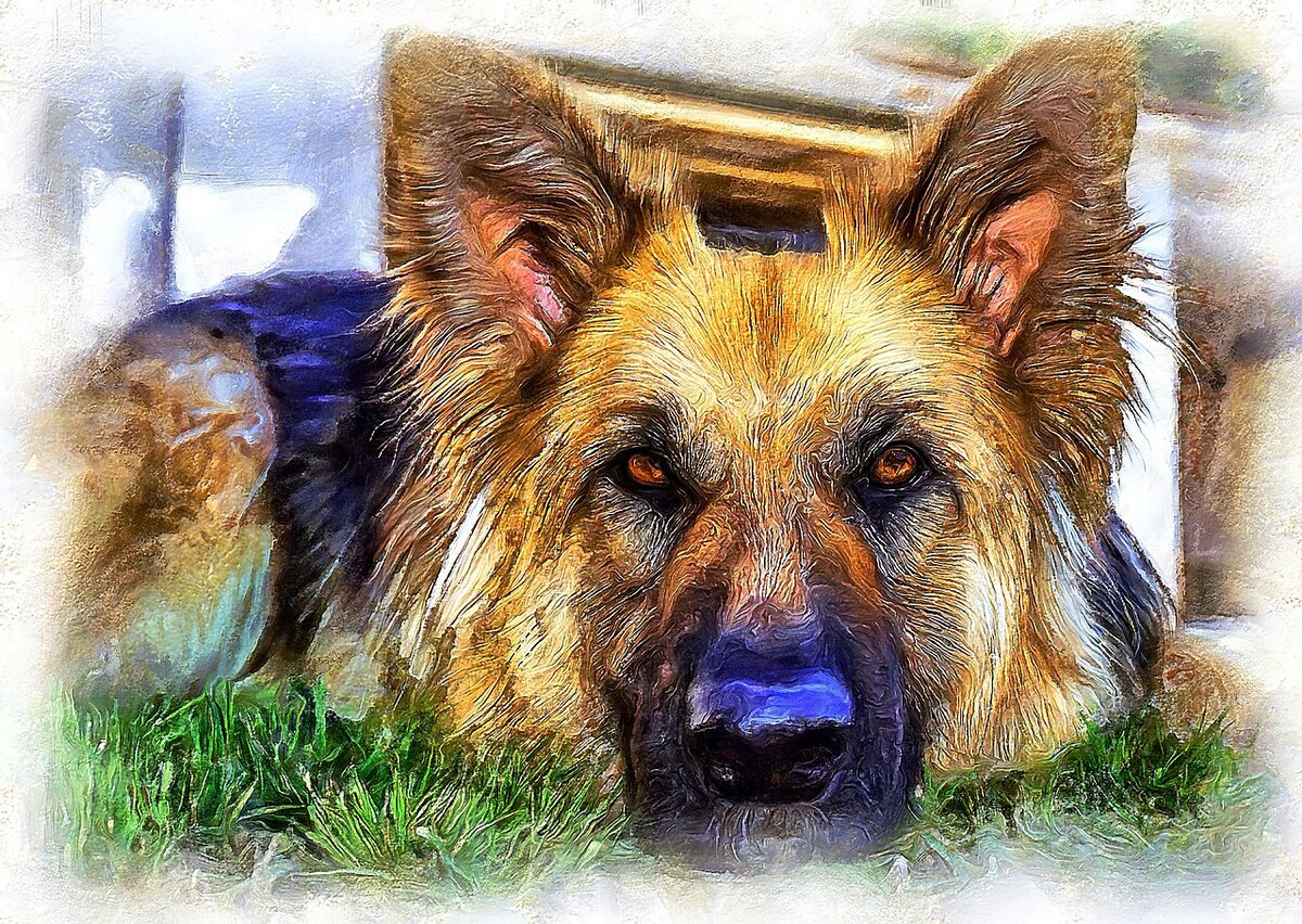 Фото https://pixabay.com/ru/users/nestall-4226480/ 