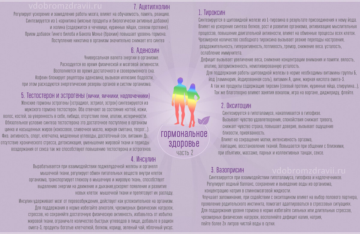 Инфографика. 13 правильных шагов к здоровью на гормональном уровне ч.2