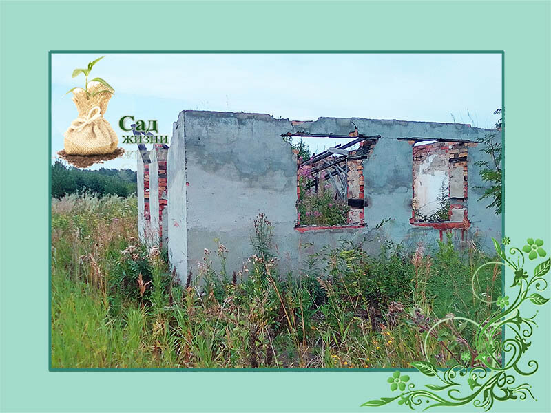 В брошенных садах