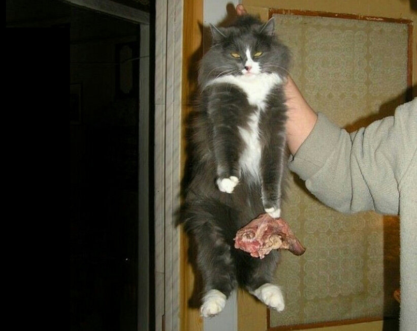 Я ни о чём не жалею. НИ О ЧЁМ.