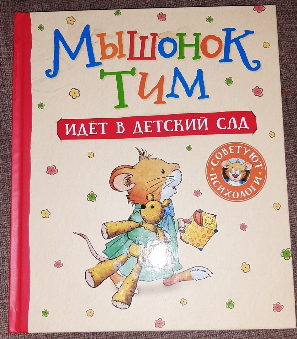 Шел дет. Я иду в детский сад книга. Мышонок тим капризничает. Как выглядит книга.