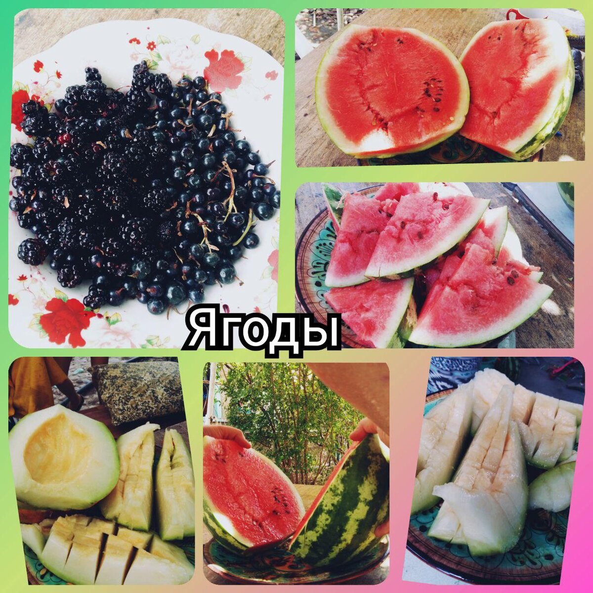 Арбузы и дыни покупали, а смородина и ежевика своя