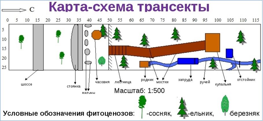 Методы учета птиц. Метод трансекта. Метод линейных трансектов. Метод трансект в экологии. Методики линейных трансектов (маршрутные учеты),.