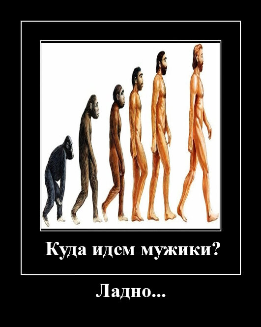 Эволюция...