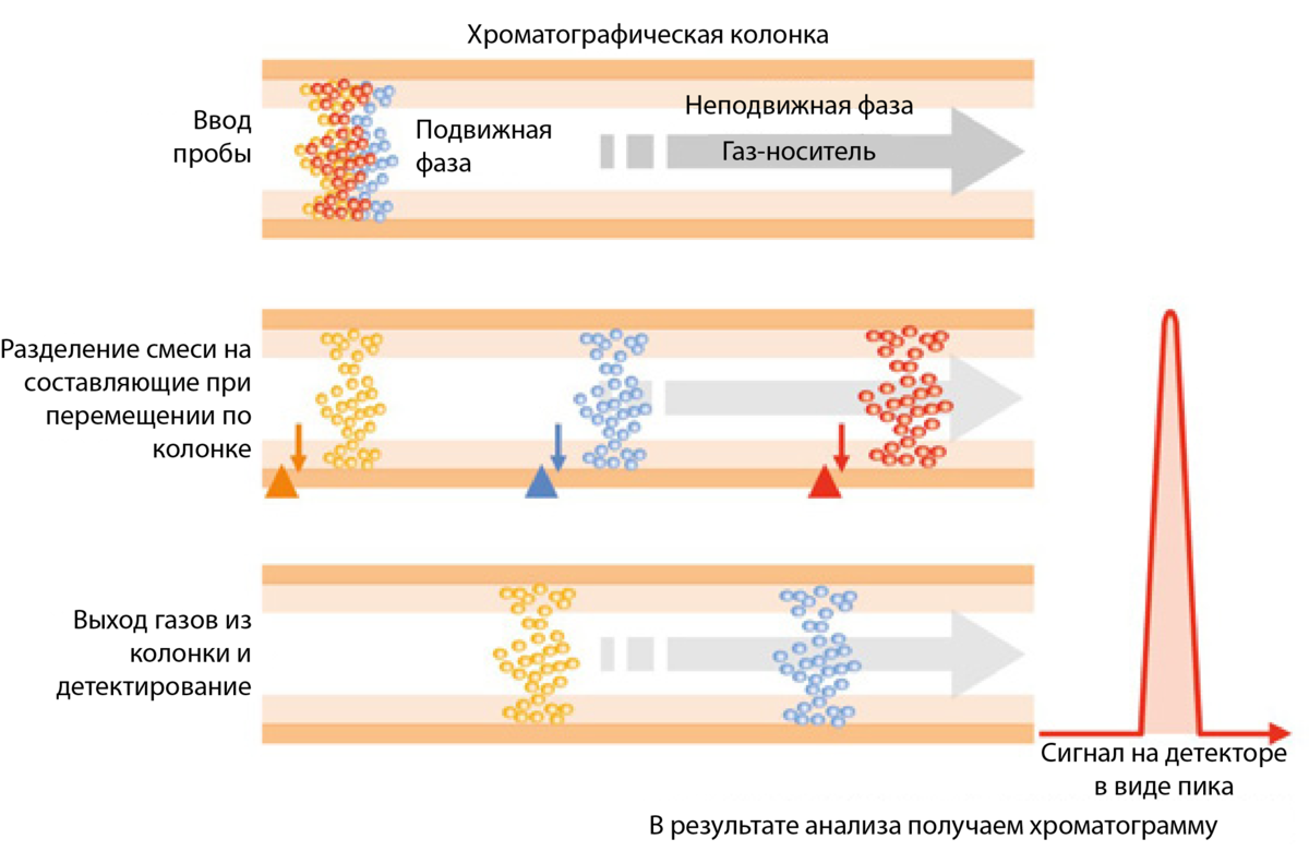 Схема газовая хроматография