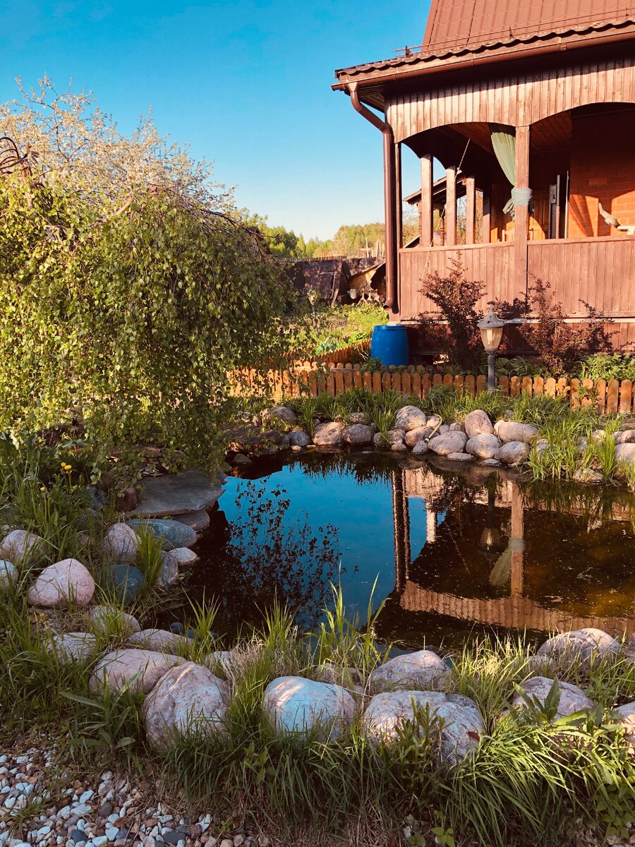 Вид на наш дом со стороны прудика.