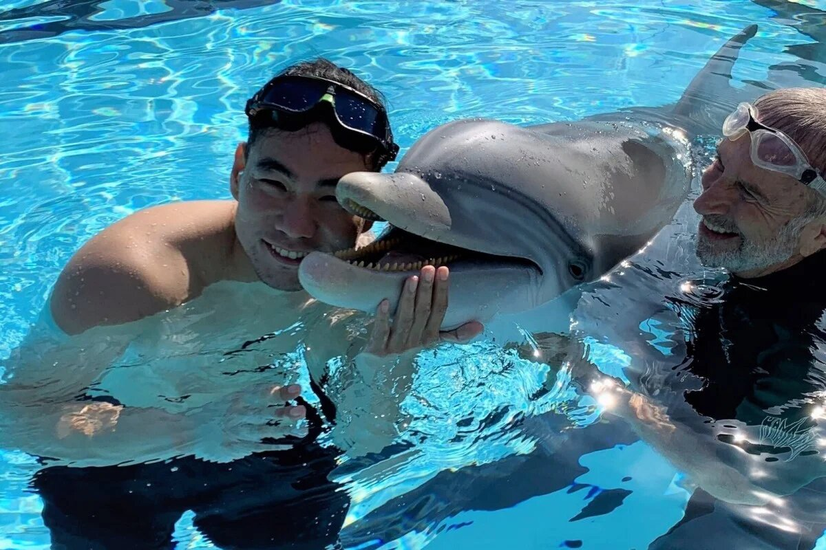 Изображение взято с ресурса "Яндекс.Картинки"