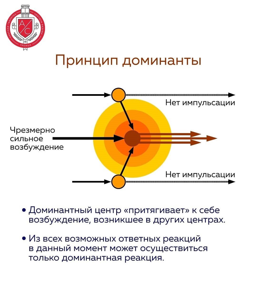 Доминант это. Ухтомский а.а. "Доминанта". Принцип Доминанты Ухтомского. Доминанта Ухтомского физиология. Алексей Алексеевич Ухтомский Доминанта кратко.