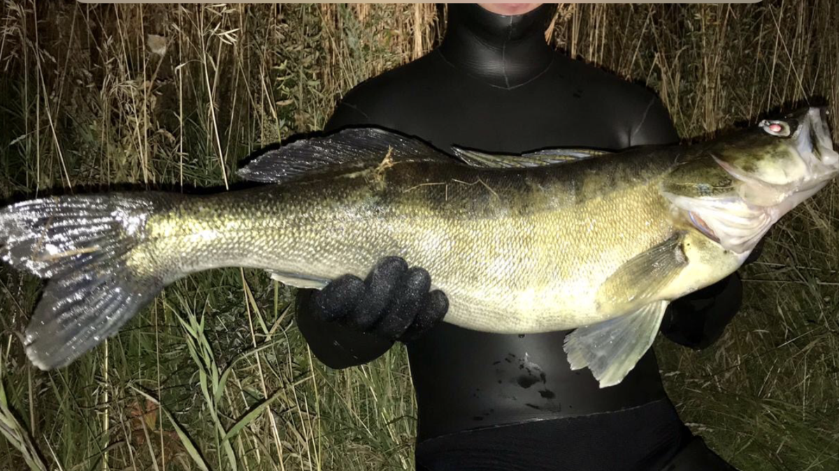 Фото из семейного архива. Можно лайкнуть)