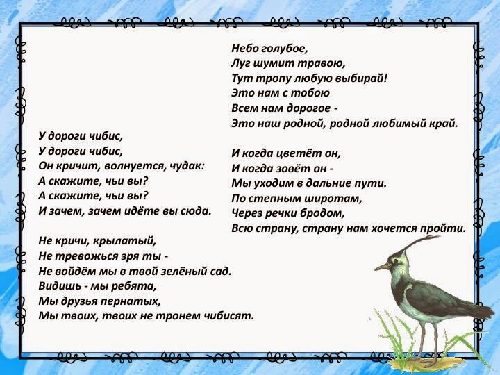 Птицы в саду — как создать для них благоприятную среду?