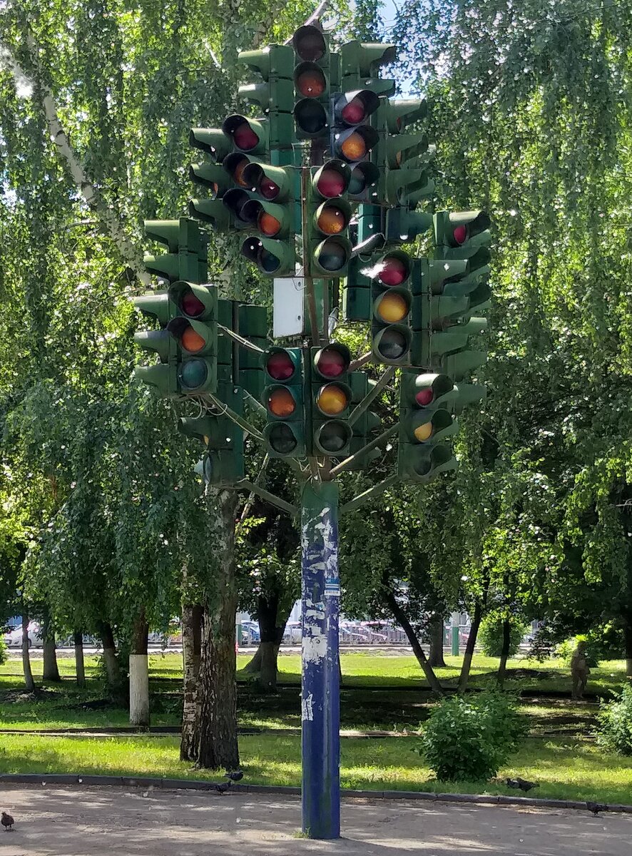 Светофорное дерево, Пенза
