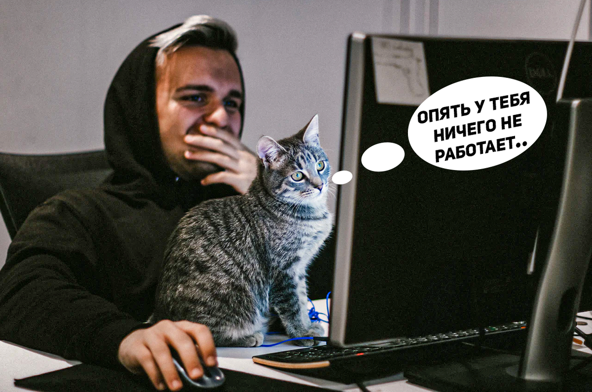 Когда не можешь показать видео с рыбалки любимому котику, так как не установил кодеки