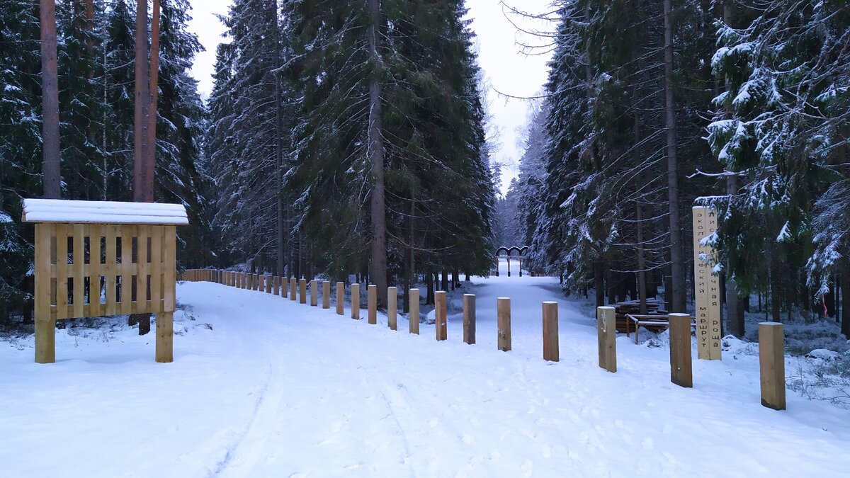 Впереди за столбиками — начало маршрута. Налево вдоль столбиков — выход с маршрута. Оттуда мы вернёмся через 1 час и 15 минут/