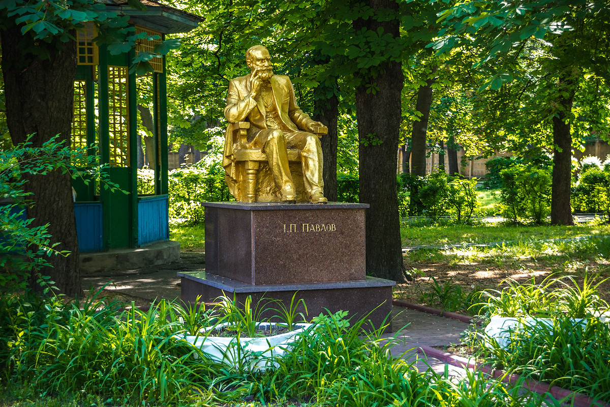 Памятник Павлов Иван Петрович. Из открытых источников Яндекс.Картинки