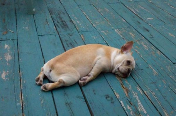 С похмелья не до Танков