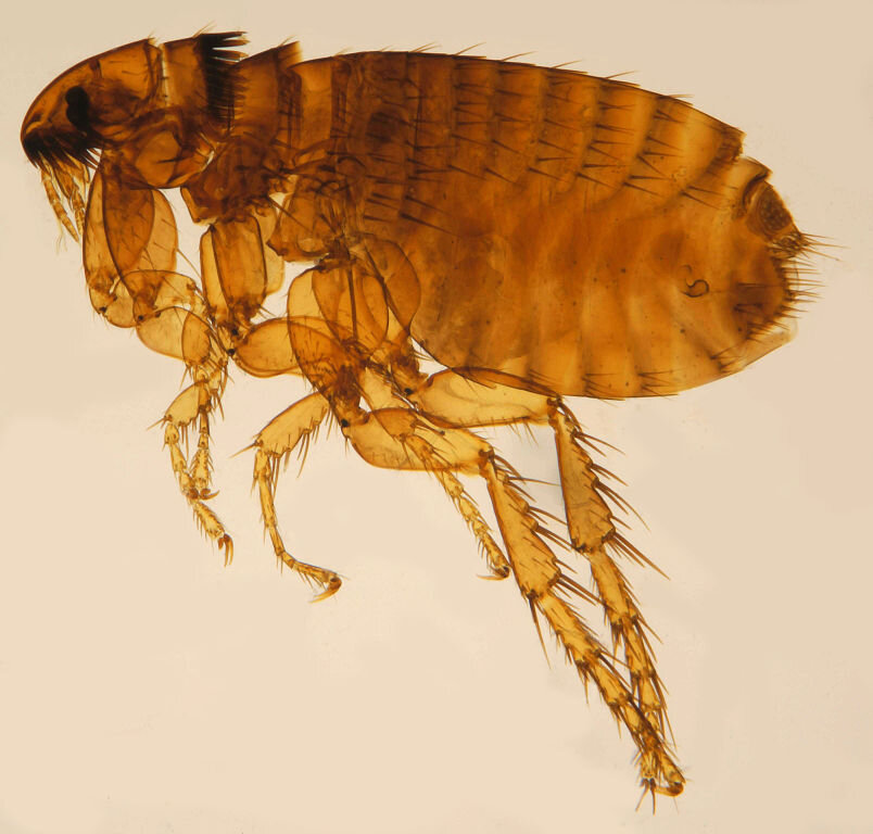 Фото взято из открытых источников