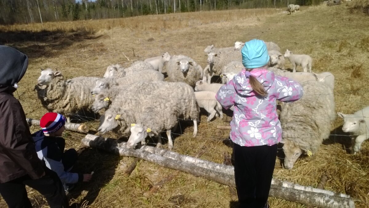 Ну разве в городе такое они увидят?
