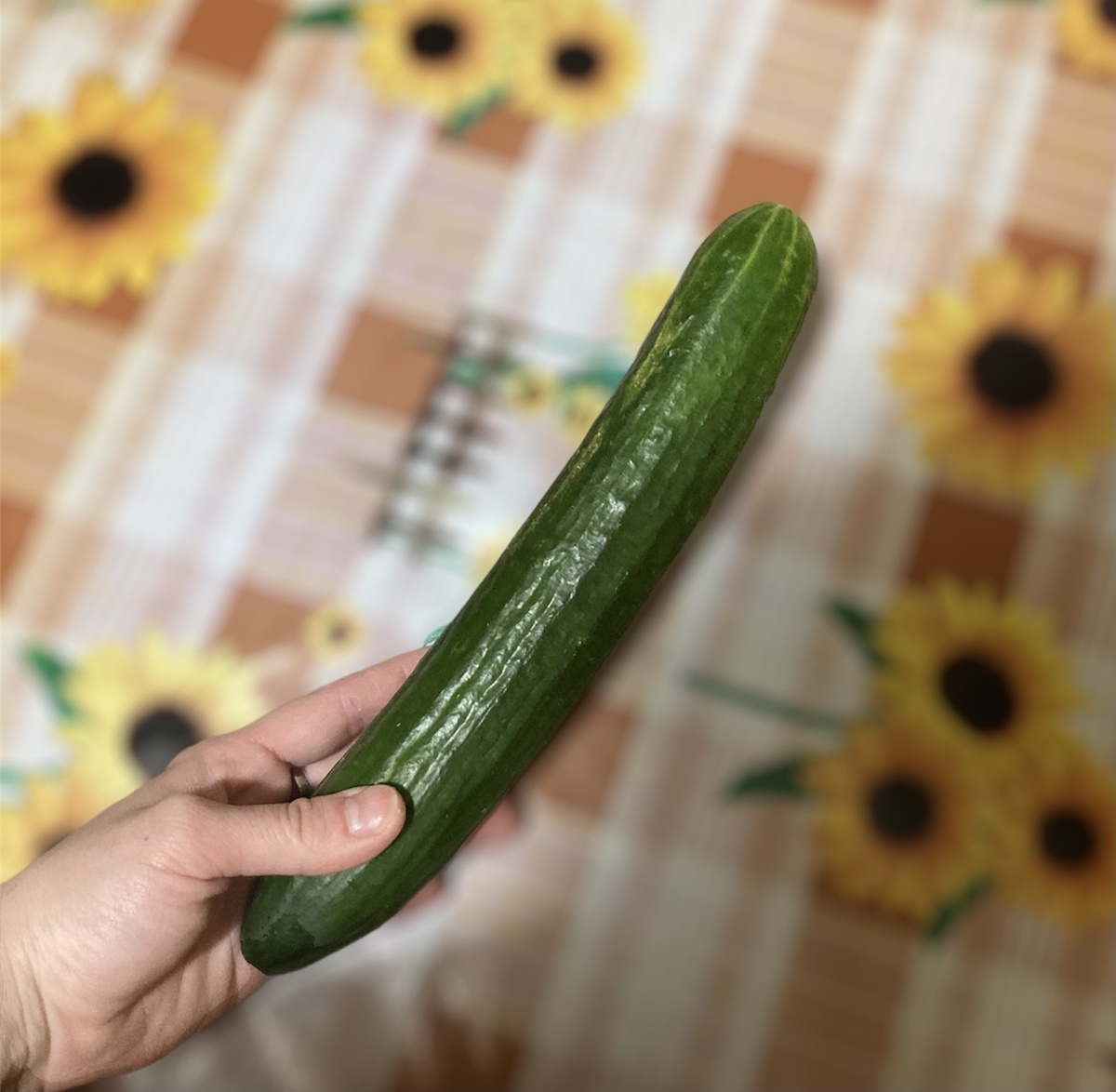 «сезон тепличных огурцов закончился, у меня купленный»