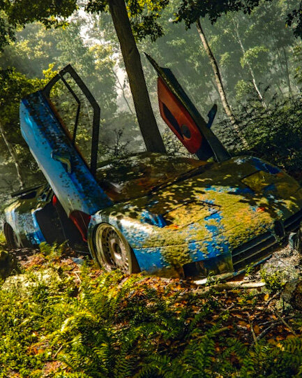 Bugatti EB 110 в гуще леса весь покрытый мхом. Тот кто это сделал наверное не в своем уме