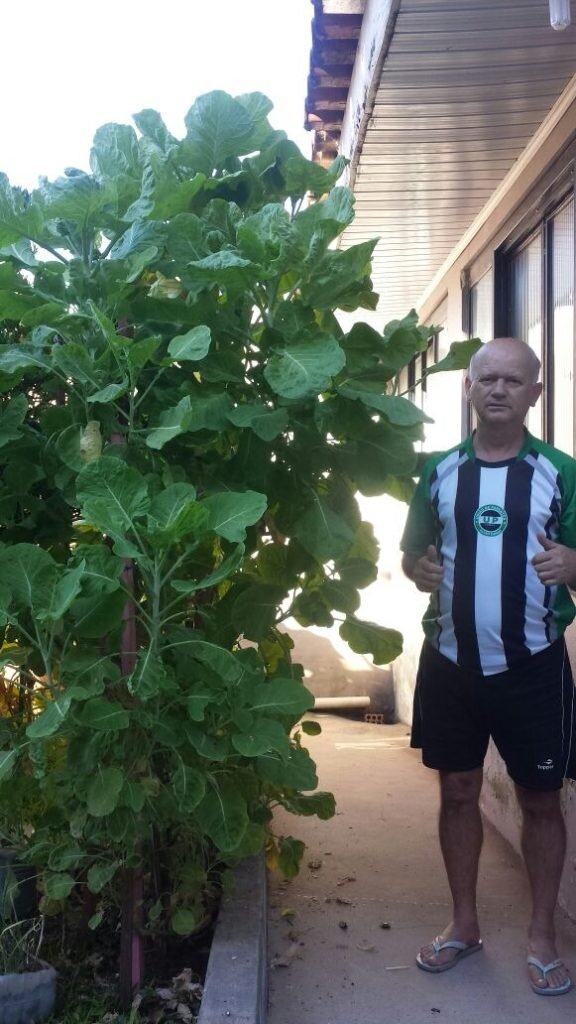 Foto: Arquivo Pessoal