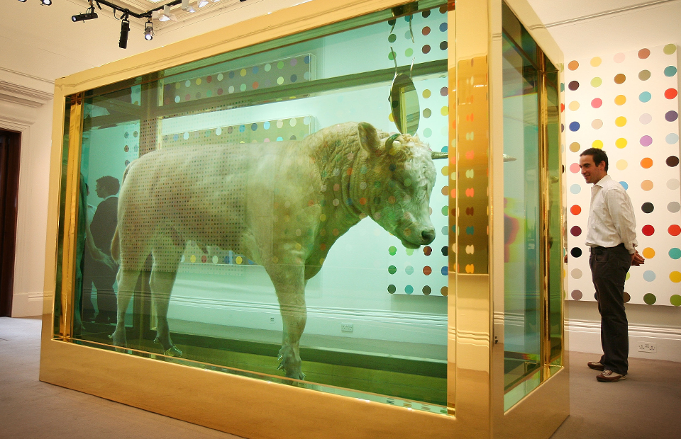 Золотой телец. Дэмиен Херст. 2008. Чучело быка, золото, стекло, позолоченная сталь, силикон, формальдегид, постамент из каррарского мрамора. 215,4 х 320 х 137,2