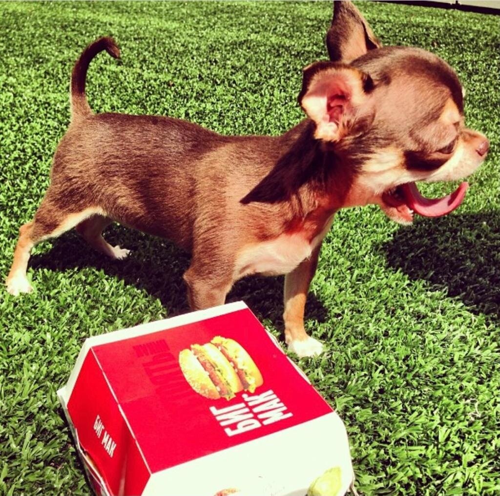 кто больше? 