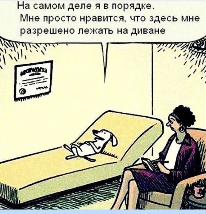 Перевод комикса @ketsolya Twitter 